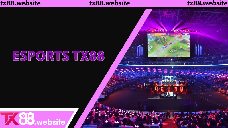 Esports TX88 – Cập Nhật Tỷ Lệ Siêu Chuẩn, Bứt Phá Lợi Nhuận