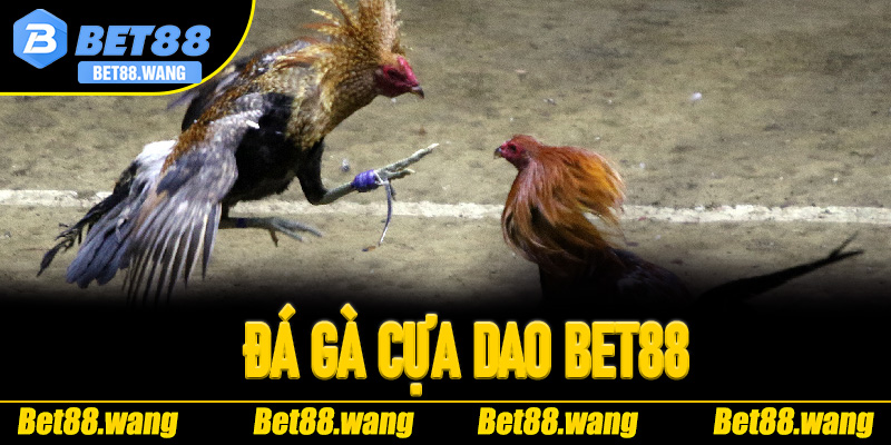 đá gà cựa dao Bet88